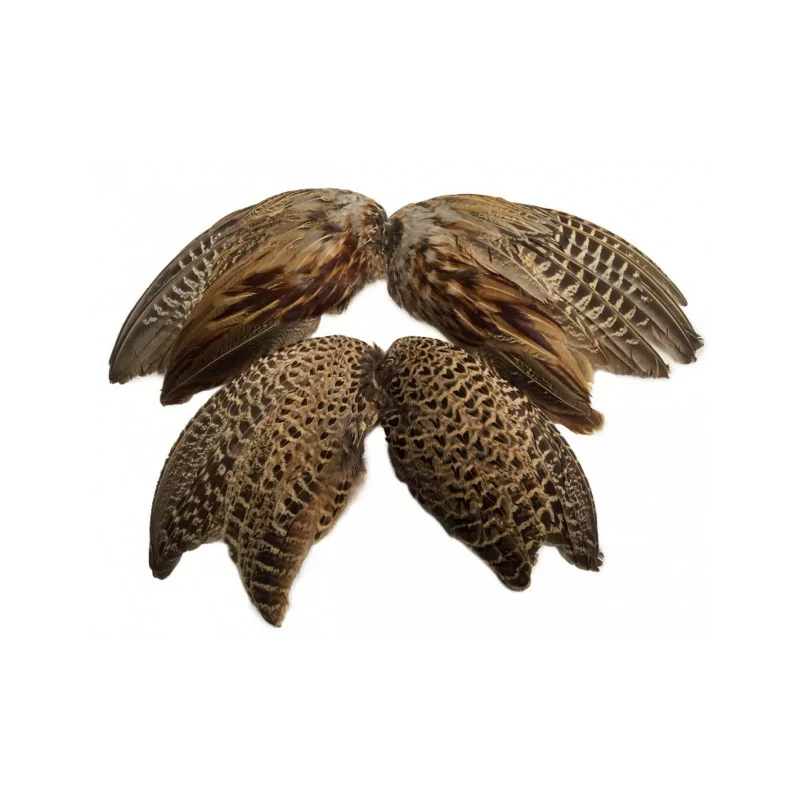 Fasanenflügel gesalzen Fasanenflügel gesalzen