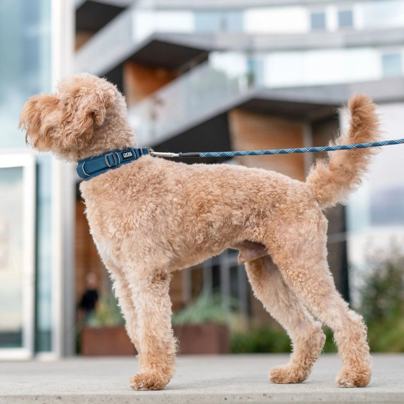 DogCopenhagen | Urban Explorer™ Collar V3