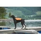 NonStop Protector life jacket Teal