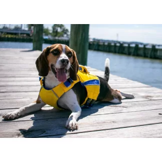 BayDog | Monterey Schwimmweste - gelb