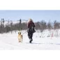 Pinewood® Dog Sports Utility Gürtel - 1141