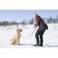 Pinewood® Dog Sports Utility Gürtel - 1141