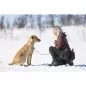 Pinewood® Dog Sports Utility Gürtel - 1141