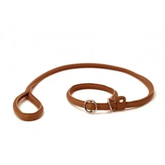 Retriever Leine Rundleder