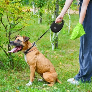 WAUDOG R-Leash Auszugsleine