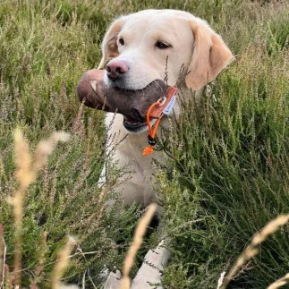 The Original Clone®️ Grouse Dummy 225g