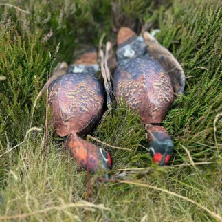The Original Clone®️ Dead Grouse Bird Dummy
