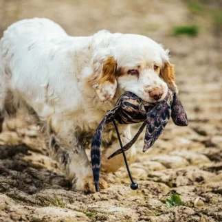 The Original Clone®️ Dead Hen Pheasant Bird Dummy