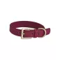 KIBA Co. Korkleder Halsband