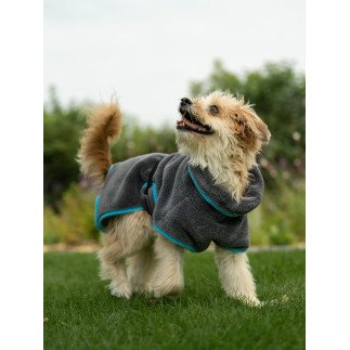 Trendpet Bademantel Dampfhund