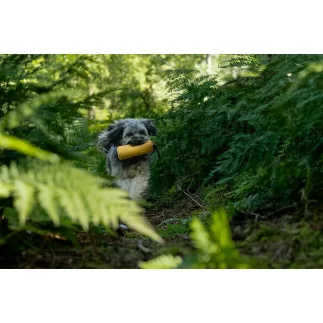 Trendpet Bademantel Dampfhund