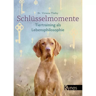 Schlüsselmomente
