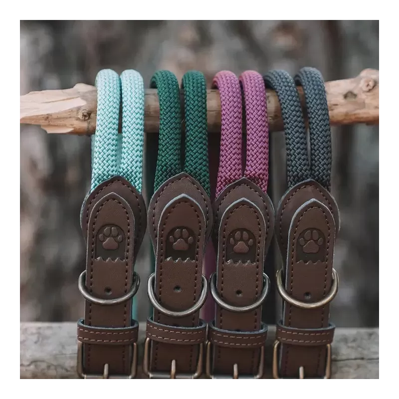 Grey Ghost | Tauhalsband Adventure