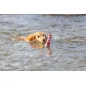 Trixie | Aqua Toy Leuchtturm am Seil