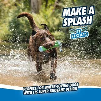 Chuckit Amphibious Bumper