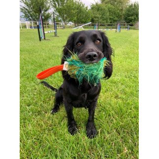 Paws Made™ Funky Faux Mini Squeaker
