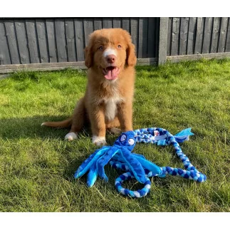 Paws Made™ Octopus Fleecebungee