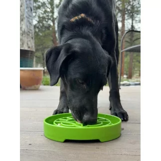 SodaPup | Slowfeeder Garten