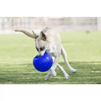 Jolly Soccer Ball