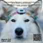 Max&Molly | Matrix 2.0 Ultra LED
