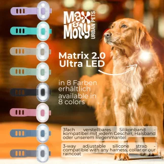 Max&Molly | Matrix 2.0 Ultra LED