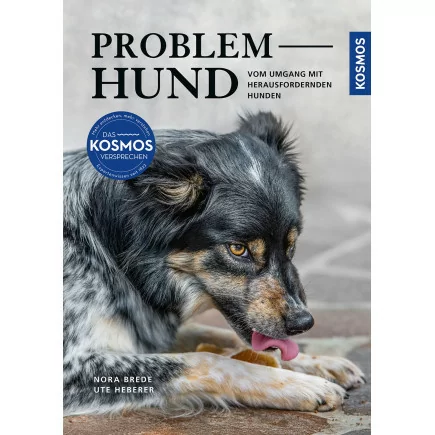 Problem Hund