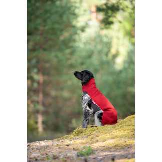 PolarPomppa Hundepullover – doppelt warmes Fleece für kalte Tage | everdog