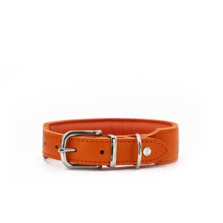 Maul | Lederhalsband Mono Pop Orange