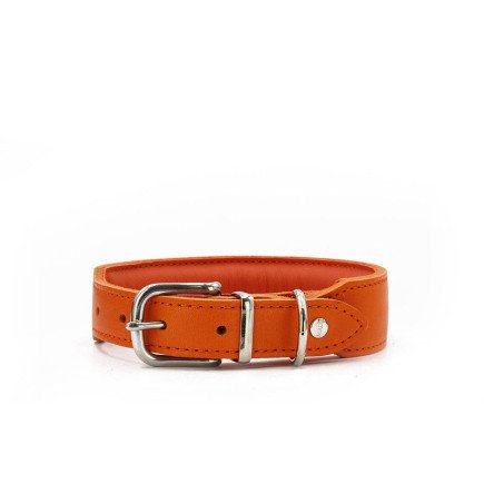 Maul | Lederhalsband Mono Pop Orange