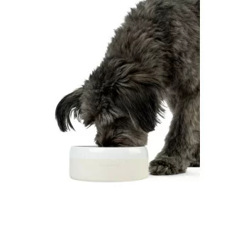 TrendPet | Clay