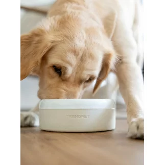 TrendPet | Clay