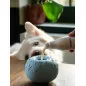 Inooko | Yoomy Donut