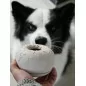 Inooko | Yoomy Donut