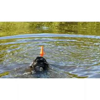 Dog Comets | Bobber