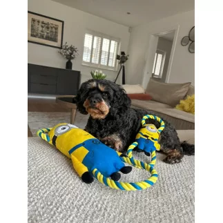 Minion® Doppel-Zerrspielzeug