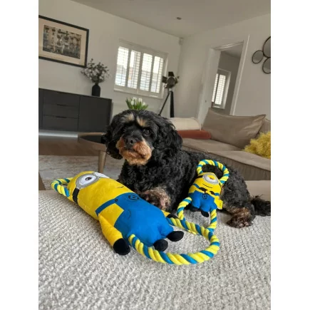 Minion® Doppel-Zerrspielzeug