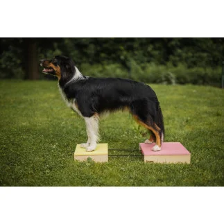 Loype Hamtal Up – erhöhtes Target