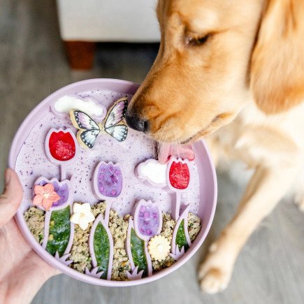 Pawsome Tails | Tulpenwiese Slowfeeder