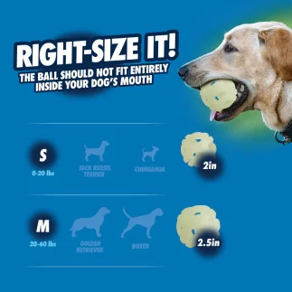 Chuckit! Air Glow Fetch Ball – S und M