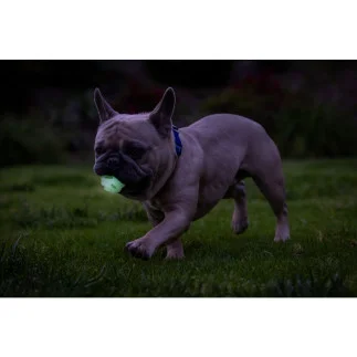 Chuckit! Air Glow Fetch Ball – S und M