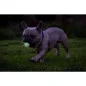 Chuckit Air Glow Fetch Ball