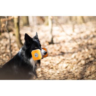 Loype - Wooden dumbbell