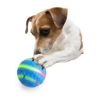 AFP Motion Activated Action Ball – interaktiver Hundeball