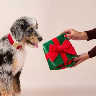 Christmas Present – Schnüffelspielzeug für Hunde