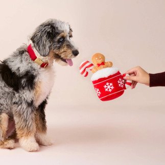 TFD | Holiday Hot Cocoa