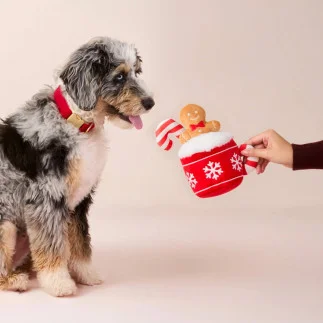 TFD | Holiday Hot Cocoa