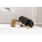 TRIXIE Capybara – Plüschspielzeug mit Quietscher