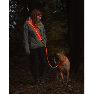 peakpup LightLead LED-Leine für Hunde