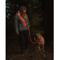 peakpup. LightLead