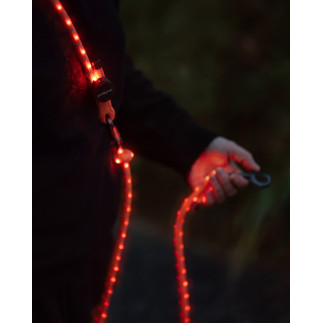 peakpup LightLead LED-Leine für Hunde